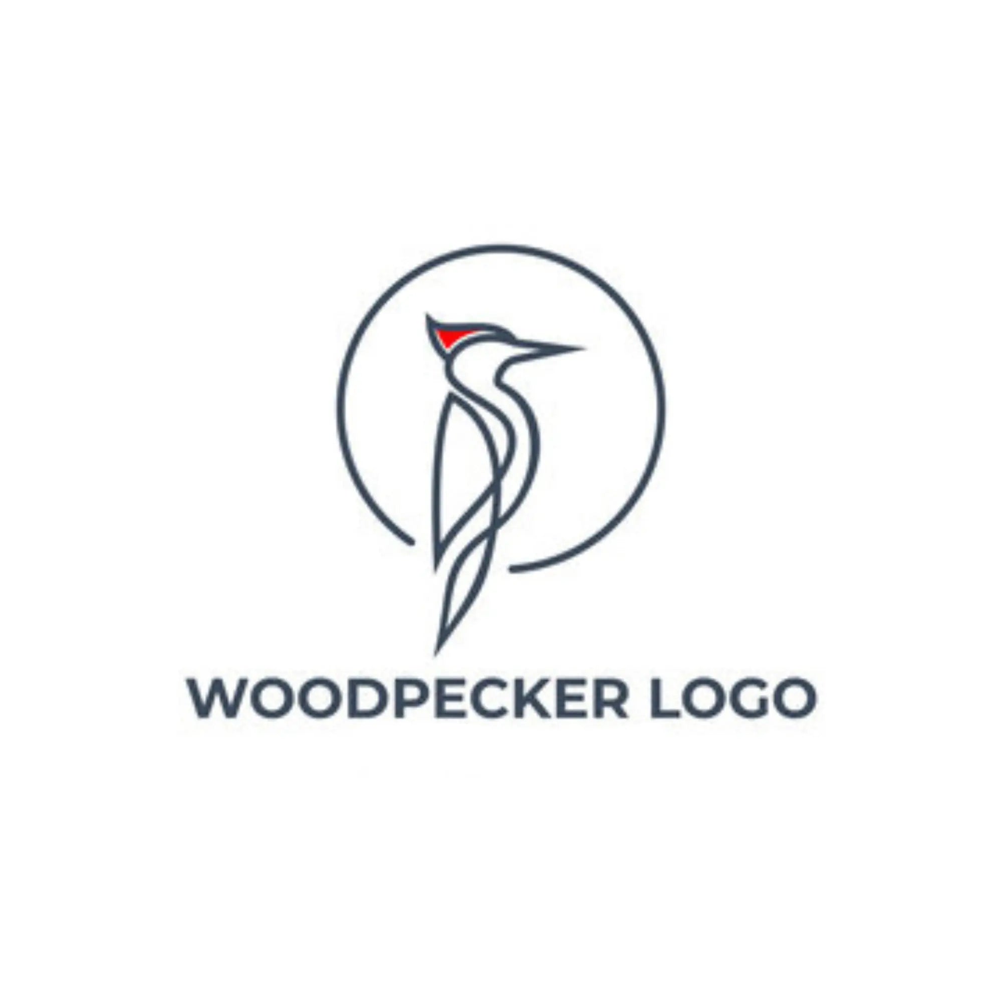 Woodpecker My Podologie